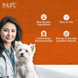 Inlife Ashwagandha for Pets, Dogs & Cats | 500mg | 60 Veg. Capsules - Image 4