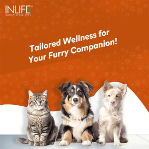Inlife Ashwagandha for Pets, Dogs & Cats | 500mg | 60 Veg. Capsules - Image 3
