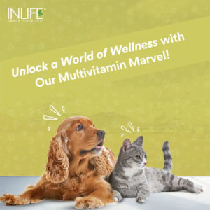Inlife Multivitamin and Minerals Supplement for Pets | 60 Tablets - Image 6