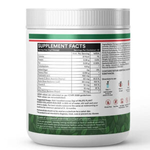 Inlife Plant Based Collagen Powder Supplement, Women & Men - 200g (Fruit Punch) - Image 6