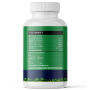 Inlife Prebiotics & Probiotics Pet Supplements for Dogs Cats|60 Capsules - Image 4