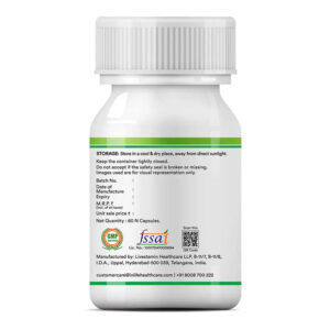 Inlife Prebiotics and Probiotics Supplement | 60 Capsules - Image 4